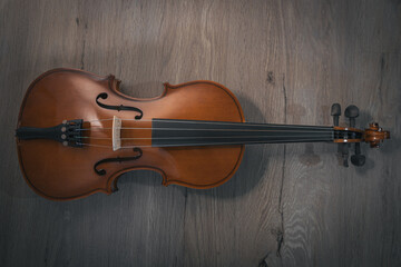 View of a solo violin