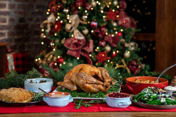 Turkey holiday dinner 