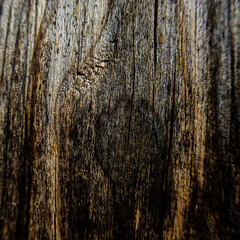 Cracks and scratches of old wood.