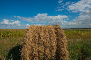 Again hay on a background of fields and sky.