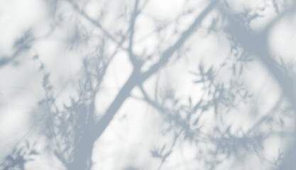 Defocused abstract texture. Blurred shadows of trees on white background