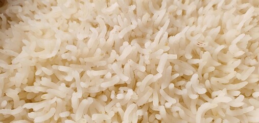 Cooked basmati rice. Delicious white rice. Rice background.
