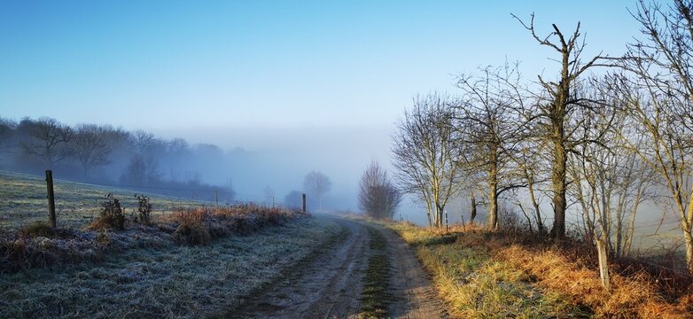 Nature. Rural landscape. Foggy morning in December.