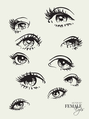 Linear female eyes set. Woman face sketch. Volume eyelashes makeup
