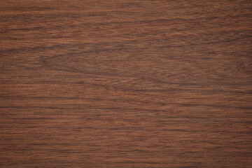 dark board background, wood texture. arboreal table or wall surface - obrazy, fototapety, plakaty