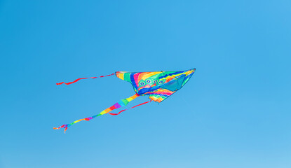 A child flies a kite on the beach. Selective focus.