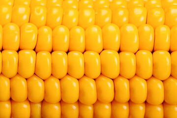 Corn on the cob close up background image