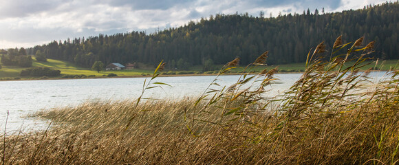 Le lac de Remoray, connu anciennement sous le nom de lac Savoureux, est un lac naturel situé dans...