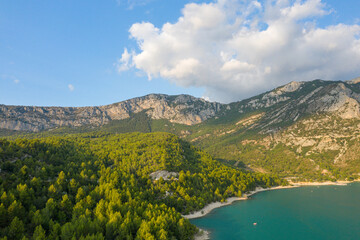 The green vegetation at the edge of the Lake of Sainte-Croix in Europe, in France, Provence Alpes Cote dAzur, in the Var, in the summer, on a sunny day.