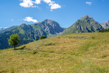 Fototapeta premium mountain panorama with snowy Monte Bianco on background