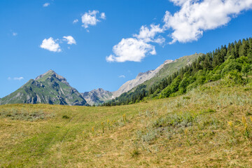 Fototapeta na wymiar mountain panorama with snowy Monte Bianco on background