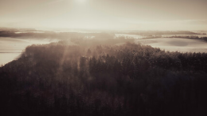 Las w mgle i w promieniach słońca