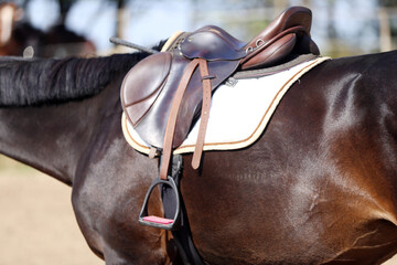 . Equestrian sport background outdoors