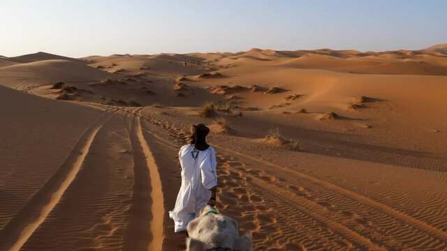 Camel riding during sunset in Sahara desert, Morocco