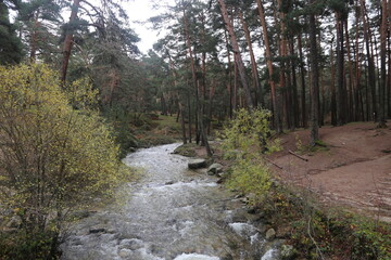 Río
