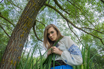 A girl in a long blue skirt and an embroidered shirt among the green meadow and marsh grass and willow trees.