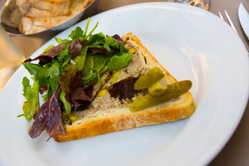 Delicious Pate en croute maison - traditional French dish of meat stuffing with pistachio baked in dough served with greens and gherkins