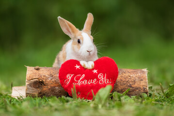 Cute little rabbit with red soft valentine's heart