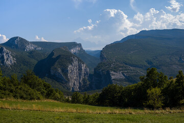 The Gorges du Verdon and a meadow in the foreground in Europe, France, Provence Alpes Cote dAzur, Var, in summer, on a sunny day.