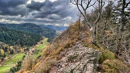 landscape in the summer