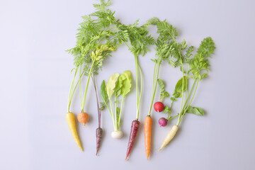 ミニ野菜の集合写真