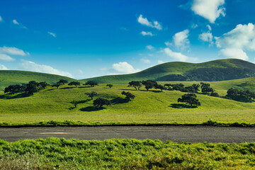 Fototapeta premium rolling hills wine country central california