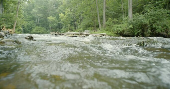 dream like black pro mist filter on low angle shot of fast moving stream through a deciduous forest environment as snow melt runs downstream towards the ocean carrying sediment while home to many fish