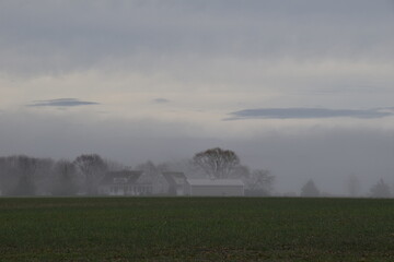 fog morning farm field mist trees house barn trees