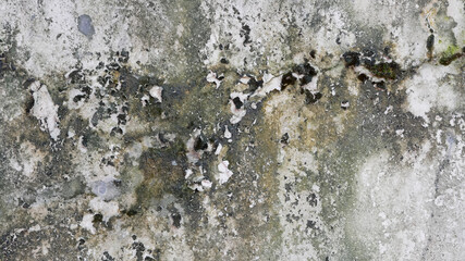 mossy old wall texture surface