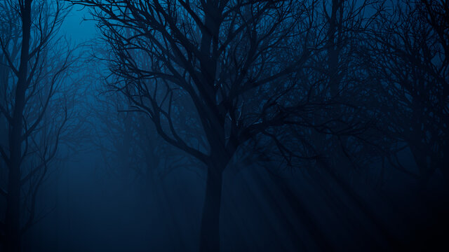 Trees in Haunted Forest. Halloween background.