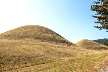 the beautiful view of  royal tumb, Gyeongju, Korea