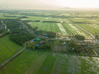 Aerial drone view of paddy fields from high angle view during sunrise which is located in Tanjung Piandang, Perak, Malaysia.