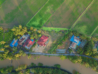 Aerial drone view of houses surrounded paddy field and green trees at Tanjung Piandang, Perak, Malaysia