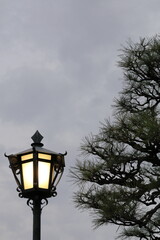 Fototapeta na wymiar 美観地区の街灯と松の木