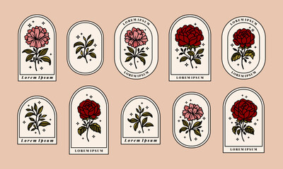Set of hand drawn vintage retro botanical feminine rose, daisy, carnation flower, leaf branches, and frame line art logo elements