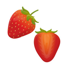 Cartoon bright natural strawberrys isolated on white. Vector illustration of fresh farm organic berry used for magazine, book, poster, menu cover, web pages.