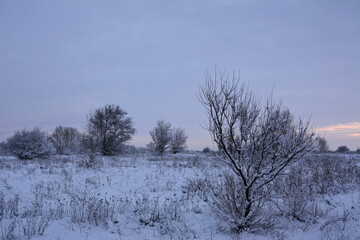 Cold winter dawn in the steppe terrain