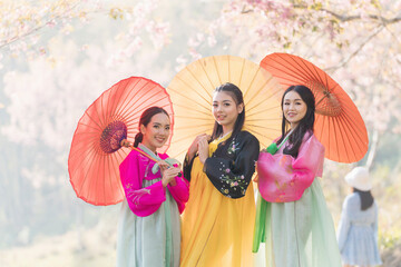 Three Korean girl wearing a hanbok wearing a umbrella. Beautiful Female wearing traditional Korean hanbok with cherry blossom in spring,