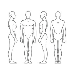 Body Man diagram Contour silhouette of a man standing Front side back