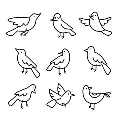 Collection of cute hand drawn outline birds 