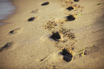 Shallow depth of field (selective focus) details with footprints in the beach sand on a calm and warm summer day at the Black Sea in the Obzor resort in Bulgaria.