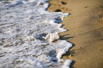 Shallow depth of field (selective focus) details with water covering footprints in the beach sand on a calm and warm summer day at the Black Sea in the Obzor resort in Bulgaria.