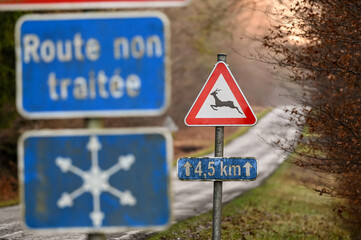 route signalisation nature bois prudence hiver animaux gibier - obrazy, fototapety, plakaty