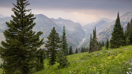 Scenic Purple Mountain landscape in Colorado during summer time