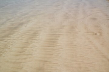 bark for creating background and texture
