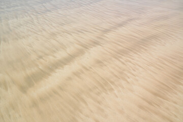 bark for creating background and texture
