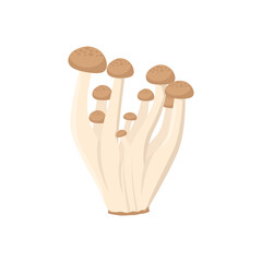 Flat vector of Shimeji mushroom isolated on white background. Flat illustration graphic icon