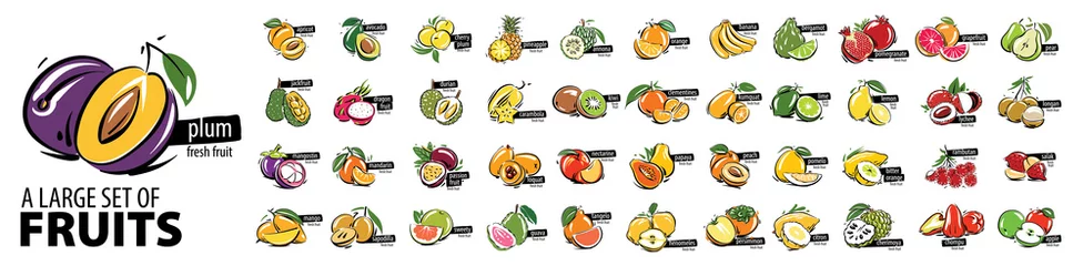 Fotobehang Vector set of painted all fruits on a white background © butenkow