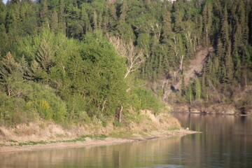 Obraz premium Trees At The Riverbend, Gold Bar Park, Edmonton, Alberta