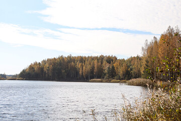 Lovely autumn view with small lake and yellow trees on a sunny day.